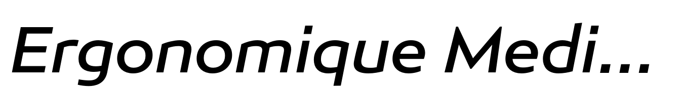Ergonomique Medium Italic